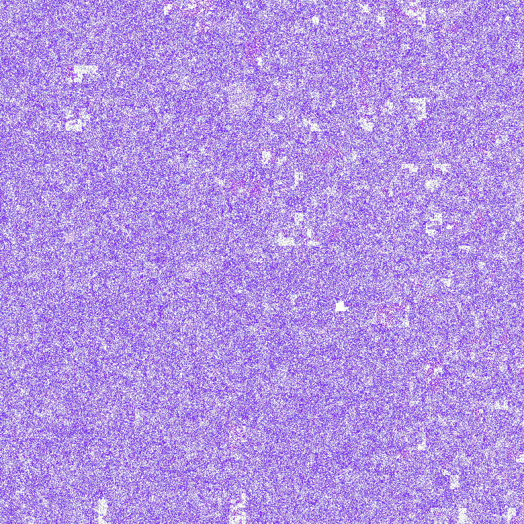 Cannabissativa_srain_Purple_Kush Asparagine