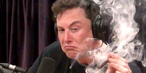 Elon smokes a doobie with Joe
