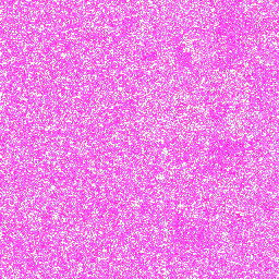 Brown_Kiwi_NW_013982187v1 Lysine