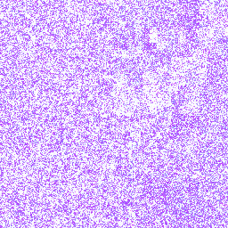 Brown_Kiwi_NW_013982187v1 Tyrosine