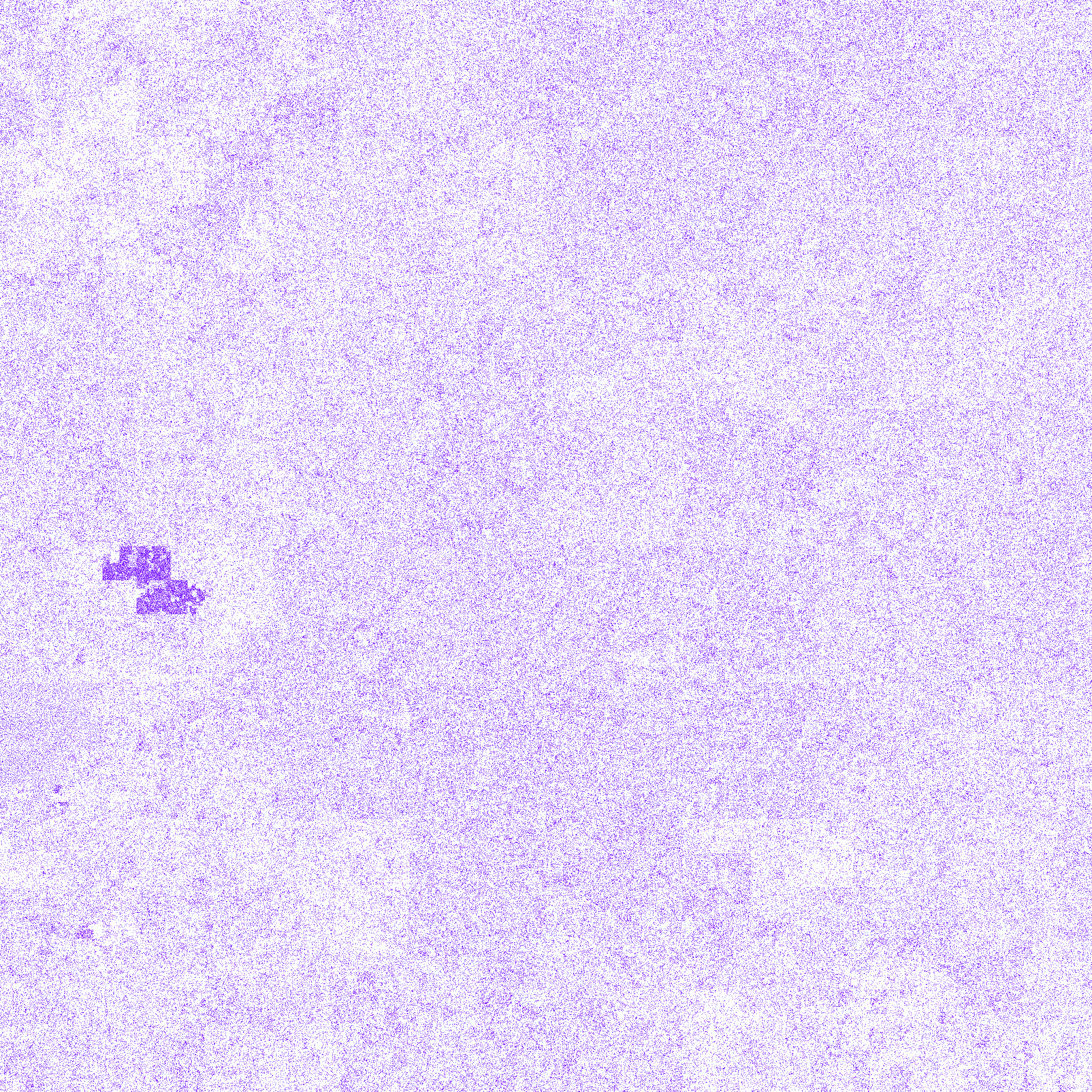 Gorilla_gorGor4_chr2A Asparagine
