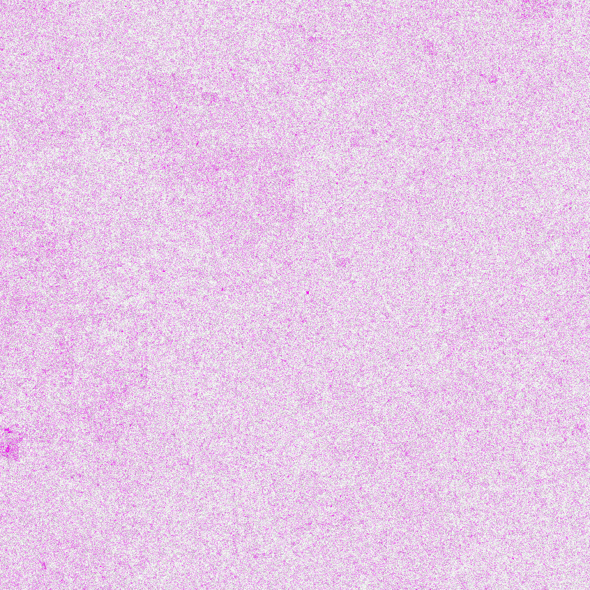 Gorilla_gorGor4_chr2B Arginine