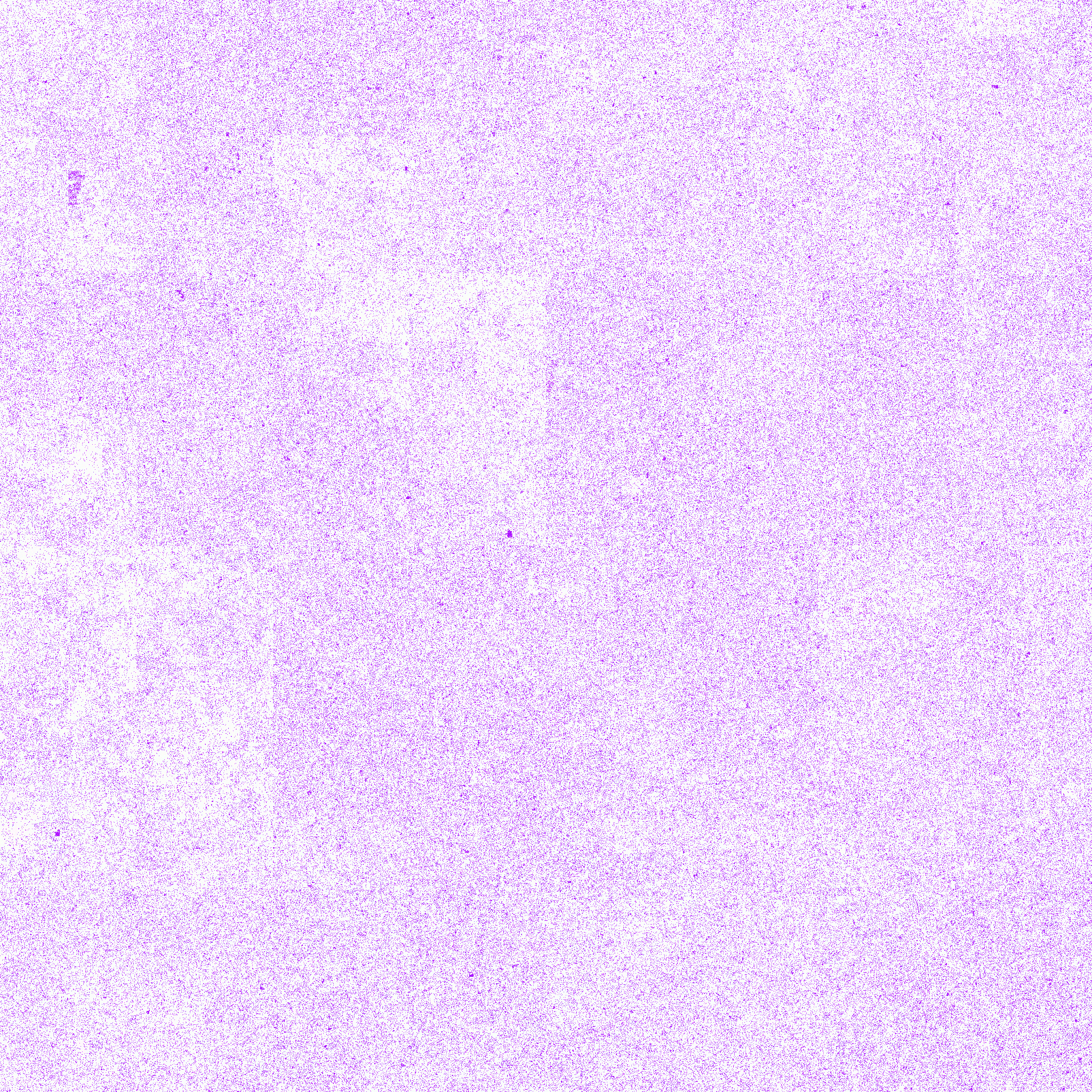 Gorilla_gorGor4_chr2B Tyrosine