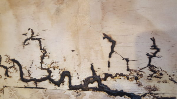 Box of Doom - Lichtenberg Etching Machine - Image 21